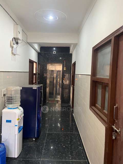 PG for Anyone in  Sector 126