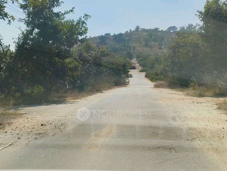 Plot For Sale  In Netaji Subhas Chandra Bose Layout