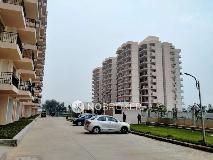 1 BHK Flat In Laxmi Apartment for Rent  In Sector 2, 