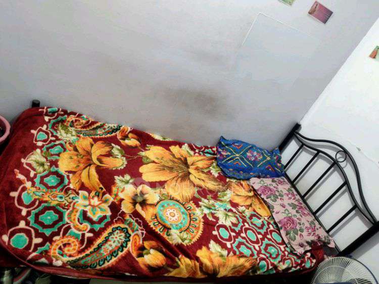 Shared Room for Male In 1 BHK  In Nallurhalli, Whitefield