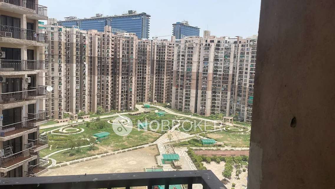 Shared Room for Male In 2 BHK  In Logix Blossom County 3 In Sector 137