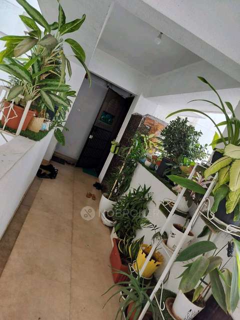 1 BHK Flat In B.puram for Rent  In Bhalachandra Avencia Plaza