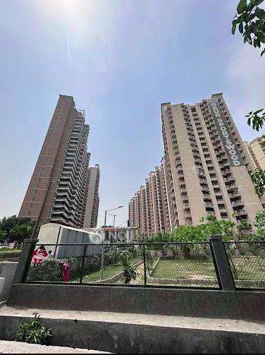 Single Room for Male In 3 BHK  In Gaur Sportswood, Sector 79 In Phase-2