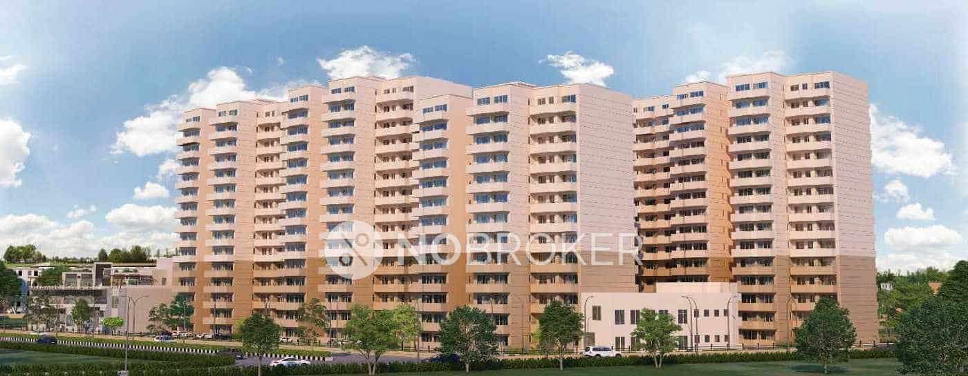 Single Room for Male In 2 BHK  In Pyramid Elite In Sector 86