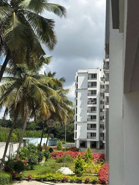 3 BHK Flat In Mittal Palms for Rent  In Nehru Nagar