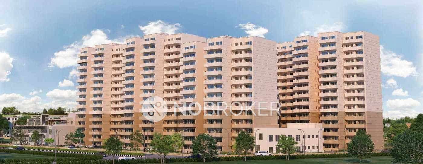 3 BHK Flat In Pyramid  Urban Home for Rent  In Sector 86