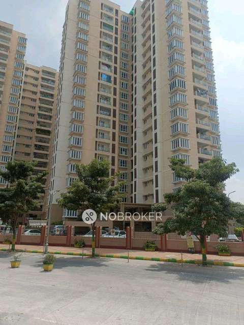 3 BHK Flat In Taisha Housing Complex for Rent  In Taisha Housing Complex