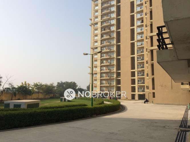 3 BHK Flat In Sidhartha Ncr Greens for Rent  In Sector-95