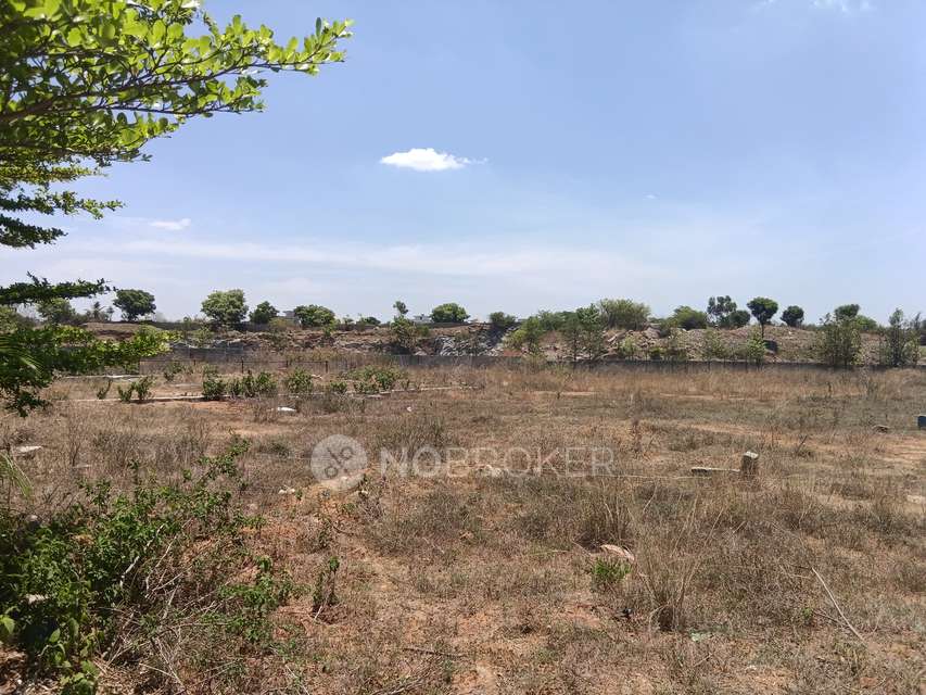 Plot For Sale  In Fortune City In Boyalahalli