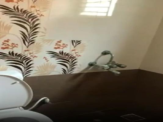 3 BHK Flat In Ultra Asta For Sale  In Valasaravakkam