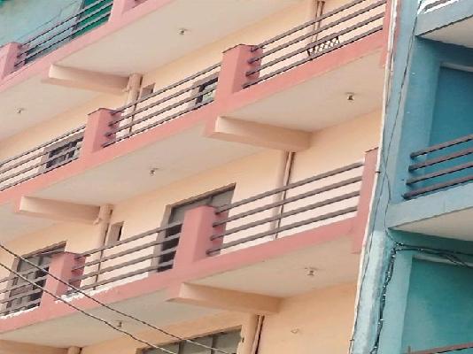 PG for Anyone in Sector 130