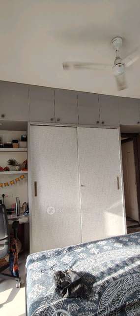 2 BHK Flat In Sai Bliss For Sale  In Punawale