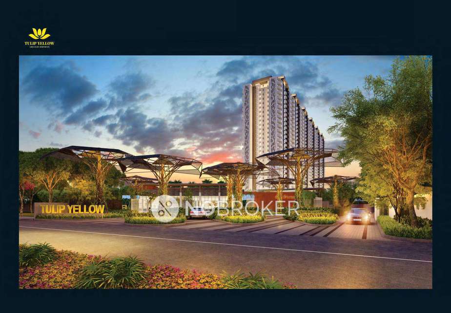 3 BHK Flat In Tulip Yellow for Rent  In Sector 69, Gurugram