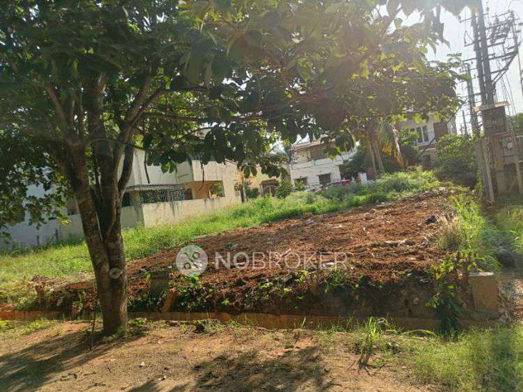 Plot For Sale  In Nisarga Layout Koppa Gate Bg Road Bangalore In Nisarga Layot