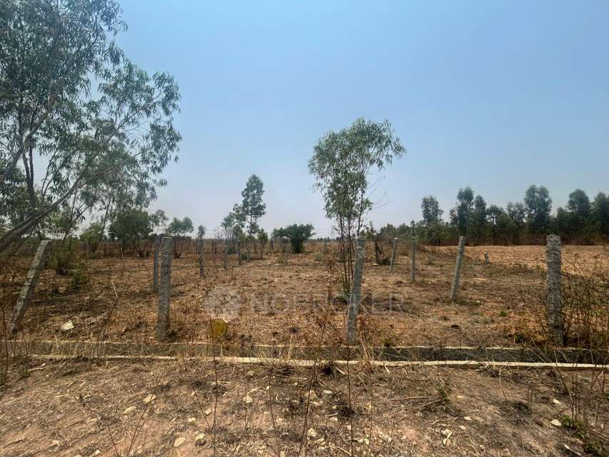 Plot For Sale  In Petanahalli