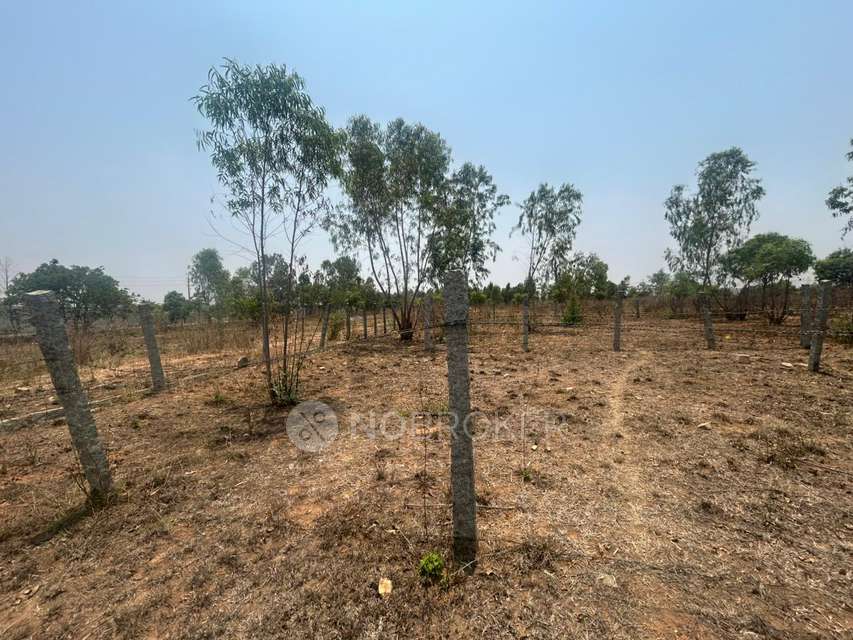 Plot For Sale  In Petanahalli