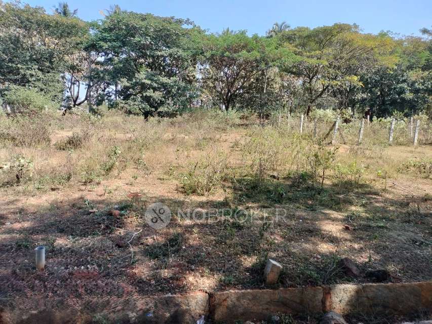 Plot For Sale  In Global Garden City Inc In Byadralli