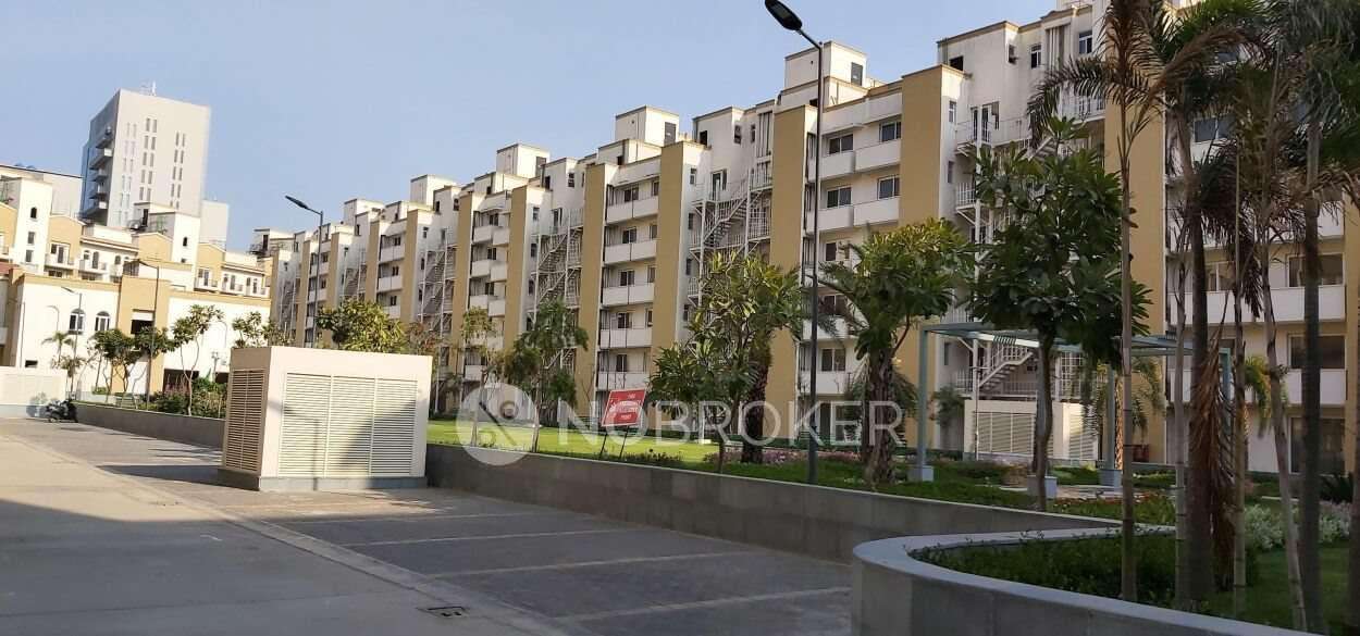 4 BHK Flat In Premeir Floors For Sale  In Sector 65