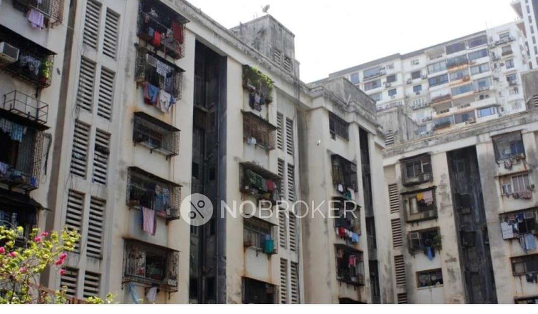 1 BHK Flat In Jai Hari Chs for Rent  In Tardeo