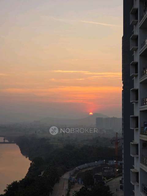 3 BHK Flat In Paranjape Blue Ridge for Rent  In Hinjewadi