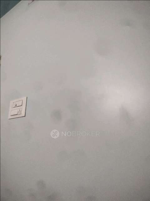 Single Room for Female In 3 BHK  In Near Radha Chowk In Mahalunge