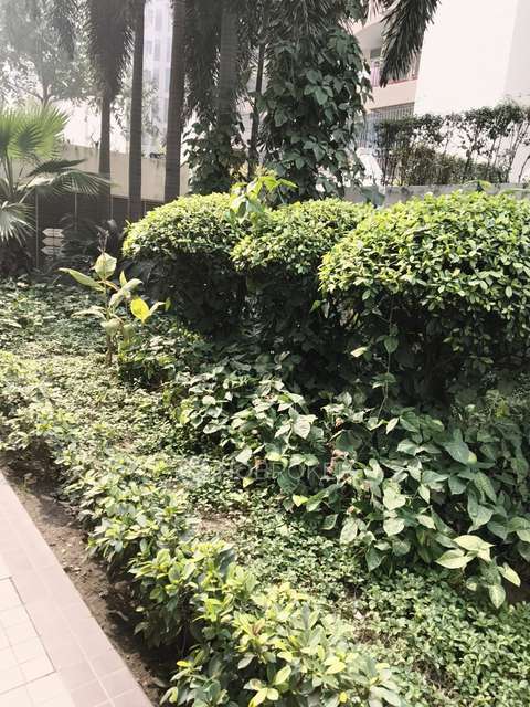 2 BHK Flat In Mandakni Apartment For Sale  In Sector 73