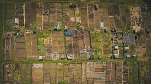 Plot For Sale  In Palm Valley In Sholinganallur