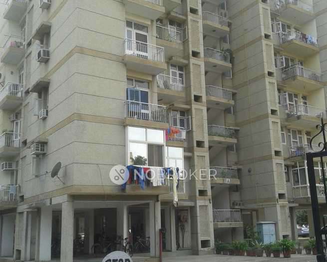 4 BHK Flat In Ashoka Enclave Cghs for Rent In Sector 12 Dwarka