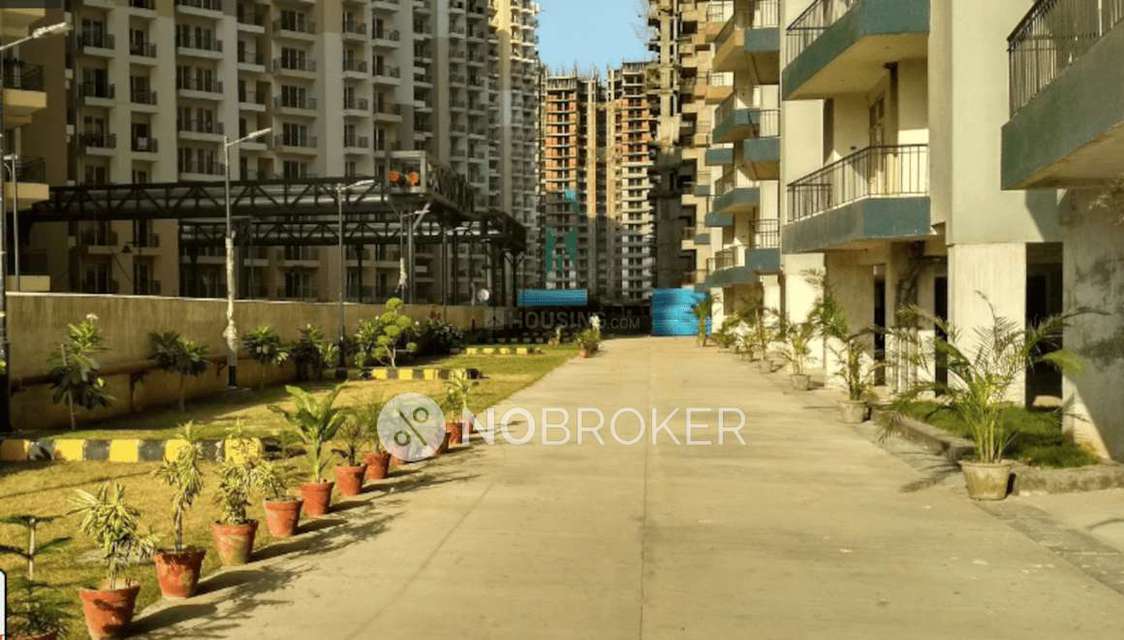 Single Room for Female In 3 BHK  In Radicon Vedantam In Sector 16