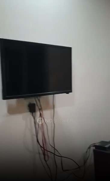 PG for Anyone in Sector 40