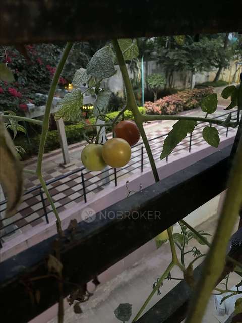 3 BHK Flat In Ss Vrudhi , Talaghattapura For Sale  In Talaghattapura