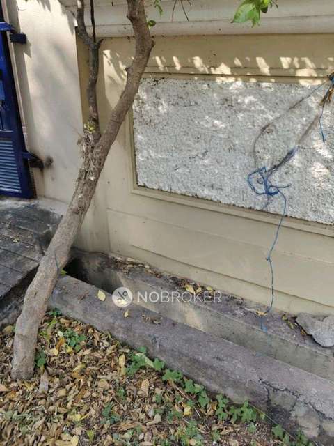 2 BHK Flat In Sb for Rent  In Postal Colony