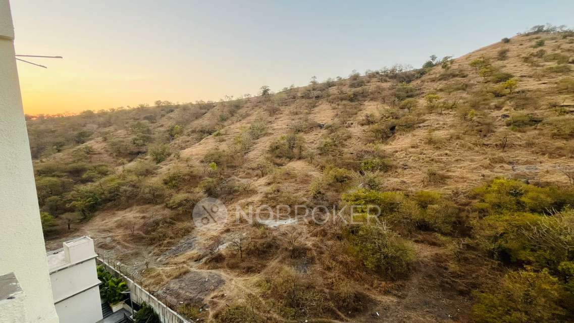 1 BHK Flat In Menlo Homes, Hinjewadi for Rent  In Menlo Homes Hinjewadi Phase 2