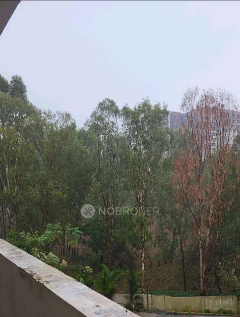 3 BHK Flat In Gcn White Palms for Rent  In  Whitefield