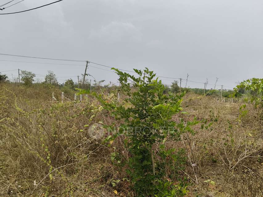 Plot For Sale  In Sarjapur