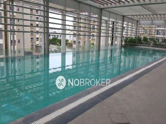 2 BHK Flat In Divyasree Republic Of Whitefield for Rent  In Whitefield