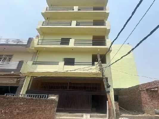 PG for Anyone in Sector 135