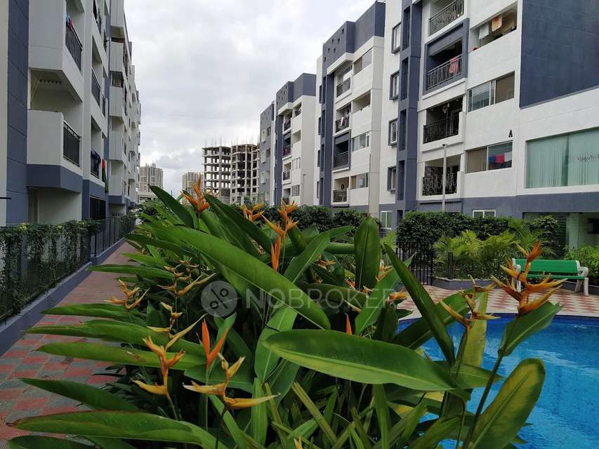 3 BHK Flat In Vijayasri Eldorado for Rent  In Singahalli