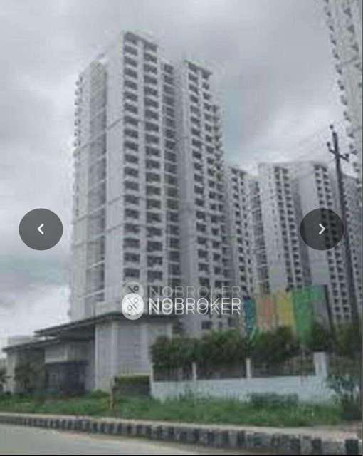 2 BHK Flat In 3c Lotus Zing For Sale  In Sector 168