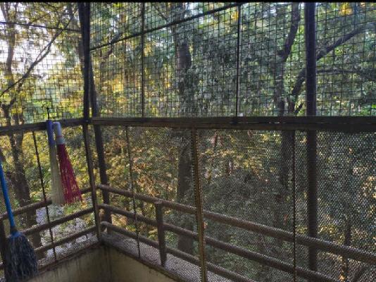 1 BHK Flat In Crown Chs Ltd for Rent  In Global Square