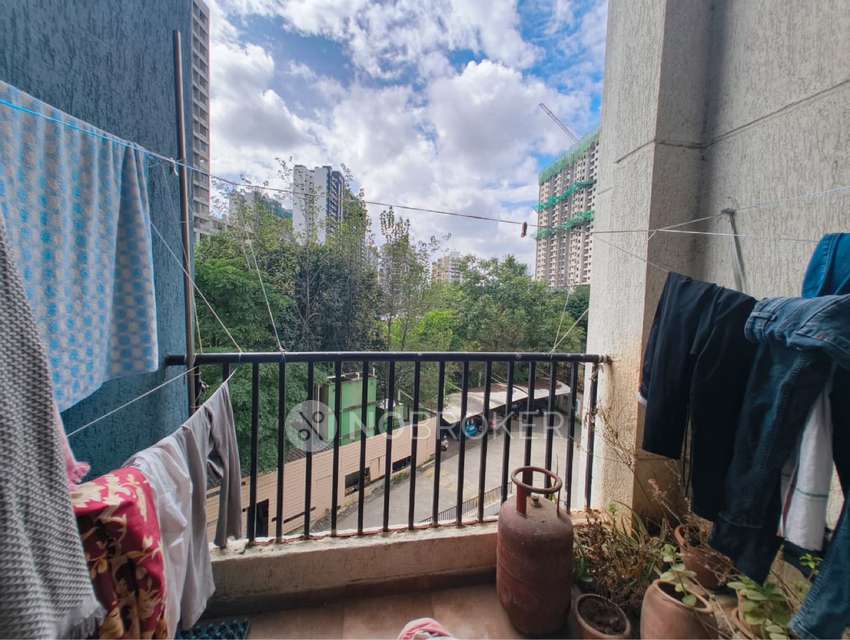 Single Room for Female In 2 BHK  In Casa Imperia In Wakad