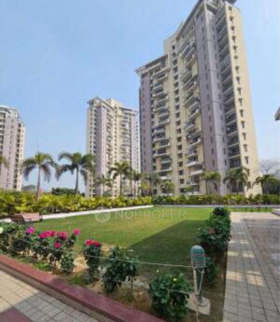 Single Room for Male In 3 BHK  In Unitech Cascades In Pi I & Ii