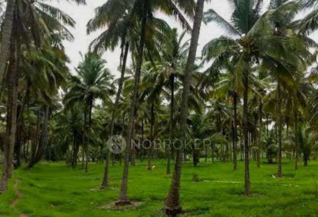 Plot For Sale  In Malleshwaram Enclave Apartments