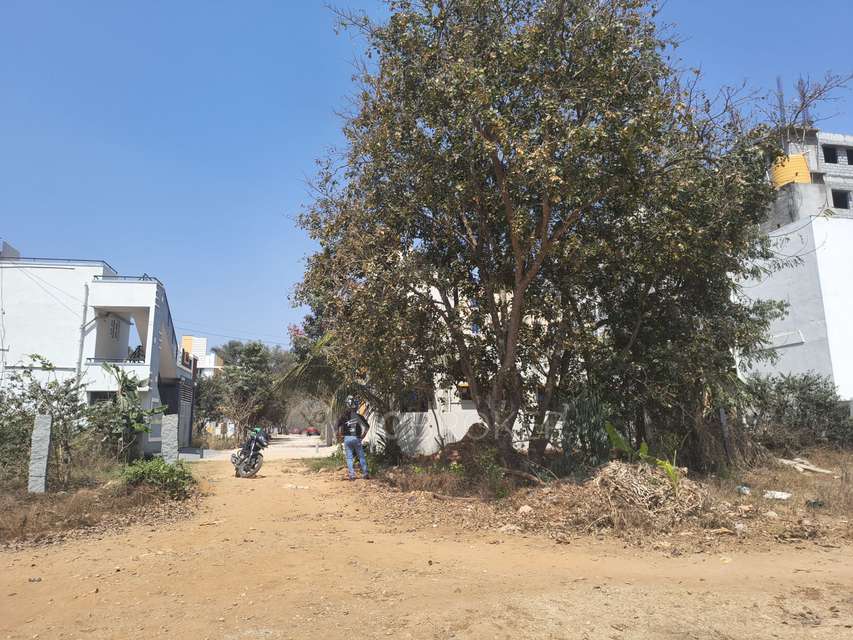 Plot For Sale  In Veeranna Layout In Rajankunte