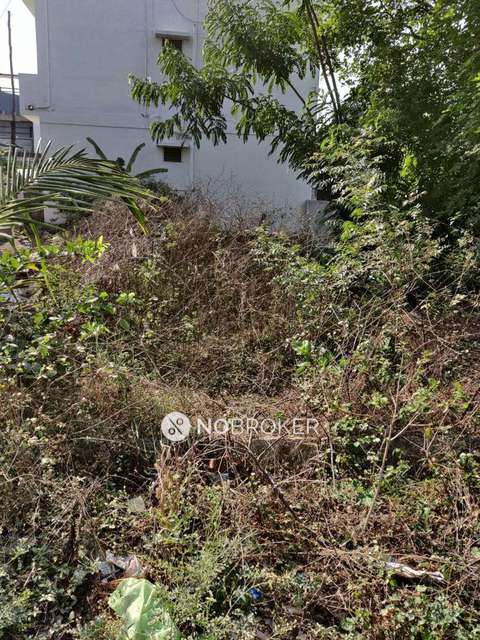 Plot For Sale  In Veeranna Layout, Addigana Halli, Rajanu Kunte In Veeranna Layout