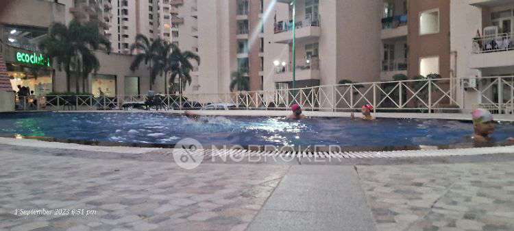 3 BHK Flat In Supertech Eco Village 2 for Rent  In Bhangel