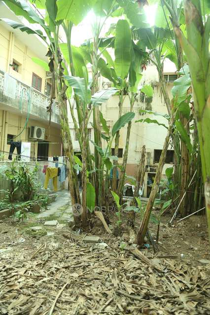 4+ BHK House For Sale  In Mylapore