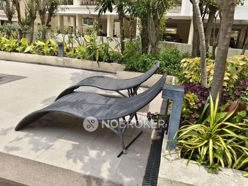 3 BHK Flat In Kolte Patil Green Olive for Rent  In Hinjawadi