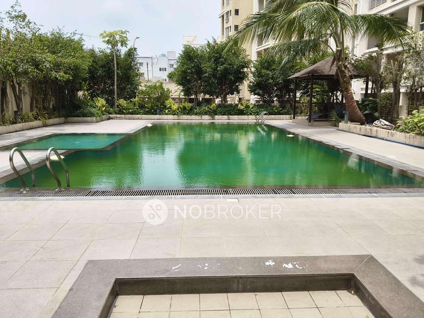 3 BHK Flat In Kolte Patil Green Olive for Rent  In Hinjawadi