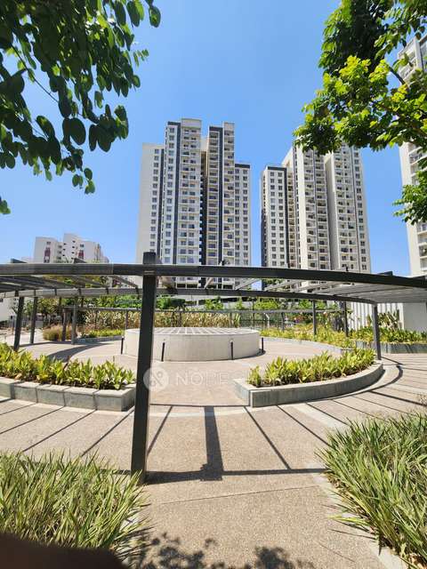 2 BHK Flat In Godrej Nurture for Rent  In Mamurdi